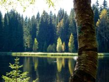 herbst am vogtlandsee.jpg